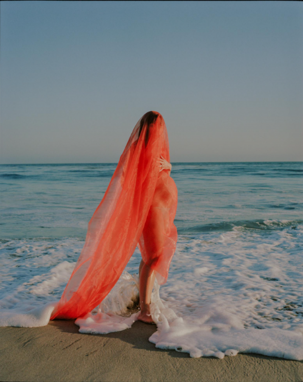 © Amy Harrity